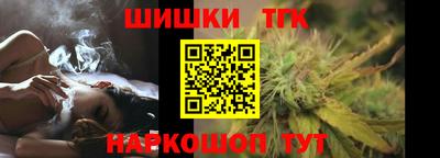 прущие грибы Усть-Джегута